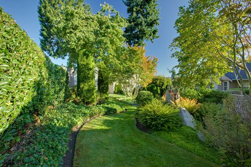 Vista Landscape Services Ltd photo 1